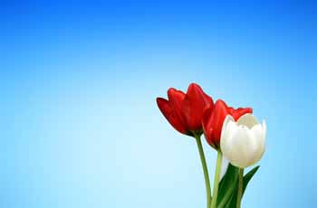 短信狂轰滥炸软件