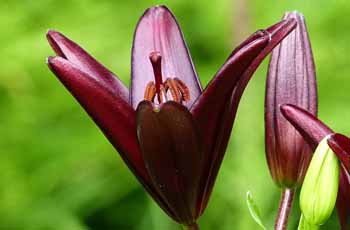 轰炸别人手机号码软件