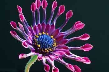 轰炸别人手机号码软件