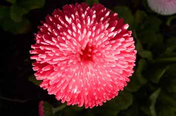 代理价格划算的网页电话直接拨打