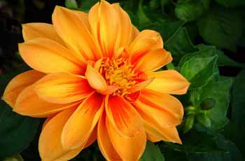 网络短信在线发送