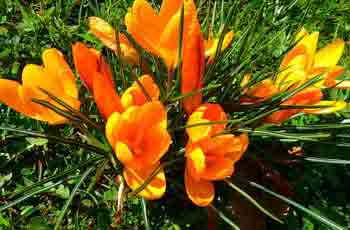 轰炸别人手机号码软件