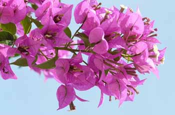 轰炸电话信息软件免费版