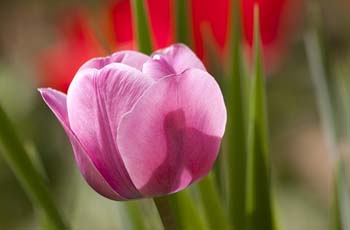 短信验证码轰炸卡盟免费