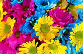 自动发货稳定的网页电话直接拨打